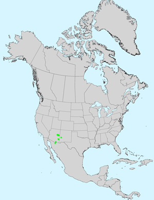 North America species range map for Cirsium grahamii: Click on image for full size map.